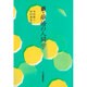 新・離婚の人間学 [単行本]