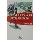 アメリカ人はバカなのか(幻冬舎文庫) [文庫]