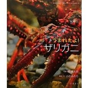 うまれたよ!ザリガニ(よみきかせいきものしゃしんえほん〈10〉) [絵本]