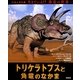 トリケラトプスと角竜のなかま(ビジュアル版 生きている!?恐竜の世界〈3〉) [絵本]
