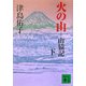 火の山―山猿記〈下〉(講談社文庫) [文庫]