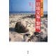 日琉交易の黎明―ヤマトからの衝撃(叢書・文化学の越境) [単行本]