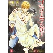 プライムナンバー〈2〉(リリ文庫) [文庫]