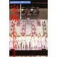 宝塚から世界が見える―TAKARAZUKA万華オペラグラス [単行本]