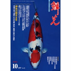 鱗光 2007年10月号 [単行本]