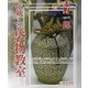 大野一郎 伝統工芸袋物教室 [単行本]
