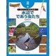 虫のいる場所図鑑〈2〉水辺でであう虫たち [単行本]