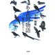 ある鳥の物語―青空の下で [単行本]