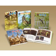 科学のアルバムかがやくいのち 第3期(全4巻) [全集叢書]