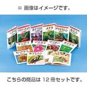身近な生きものを写真で調べる「観察ブック」(12冊セット) [単行本]
