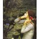 J.W.ウォーターハウス [全集叢書]