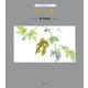 山の風―薫実里詩集(子ども 詩のポケット〈30〉) [全集叢書]