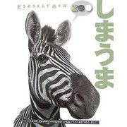 どうぶつえんであそぼ しまうま [絵本]