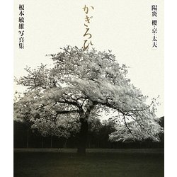 陽炎(かぎろひ) 櫻・京・太夫―榎本敏雄写真集 [単行本]