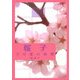 桜子・その愛の遍歴 [単行本]