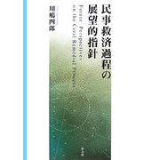 民事救済過程の展望的指針 [単行本]