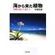 海から来た植物―黒潮が運んだ花たち [単行本]