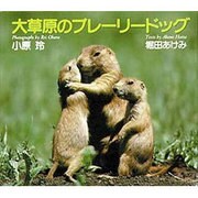 大草原のプレーリードッグ [単行本]