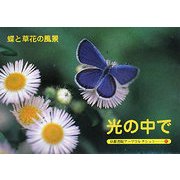 光の中で-蝶と草花の風景―A Souvenir Postcard Book(京都書院アーツコレクション) [文庫]