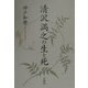 清沢満之の生と死 [単行本]