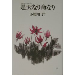 是天なり命なり [単行本]