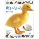 卵、いろいろ―卵からかえる(児童図書館・科学の部屋〈別巻〉) [図鑑]