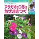 アサガオのつるはなぜまきつく(なぜ?どうして?理科のふしぎ学習〈3〉) [全集叢書]