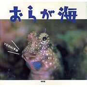 おらが海 [単行本]