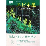 エビネ属―形態と分類(原種ランシリーズ) [単行本]
