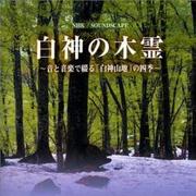 NHKサウンドスケープ「白神の木霊」(全2枚)[CD]