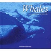 Whales（青菁社フォトグラフィックシリーズ CREATURES OF THE W） [単行本]
