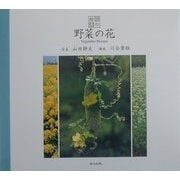 野菜の花(花の絵本〈4〉) [単行本]