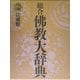 総合 仏教大辞典 [事典辞典]