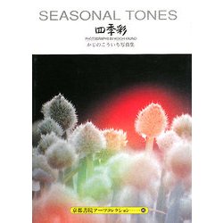 四季彩―かじのこういち写真集(京都書院アーツコレクション) [文庫]