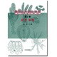 緑色藻類(藻類の生活史集成〈第1巻〉) [単行本]