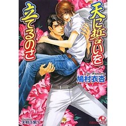 天に誓いを立てるのさ(白泉社花丸文庫) [文庫]