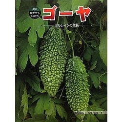 ゴーヤ―ツルレイシの成長(科学のアルバム・かがやくいのち〈8〉) [全集叢書]