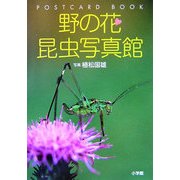 野の花昆虫写真館(POSTCARD BOOK) [単行本]