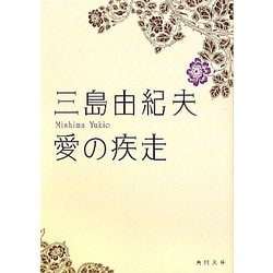 愛の疾走(角川文庫) [文庫]