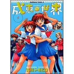 成恵の世界 6（角川コミックス・エース） [コミック]