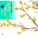 折々の花たち―外山康雄水彩画集〈2〉あなたに花いちりん [単行本]