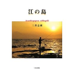 江の島 [単行本]