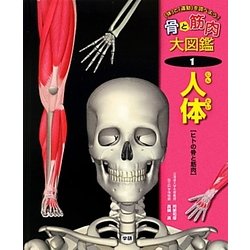 Amazon.co.jp: 骨と筋肉大図鑑: 「体」と「運動」を調べよう! (1