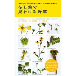 花と葉で見わける野草 [図鑑]