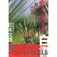 松枯れ白書―松枯れの主因は大気汚染 [単行本]
