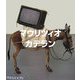 マウリツィオ・カテラン(コンテンポラリーアーティストシリーズ) [全集叢書]