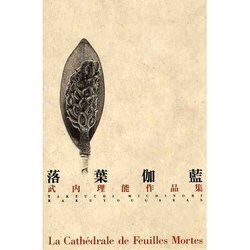 落葉伽藍―武内理能作品集 [単行本]