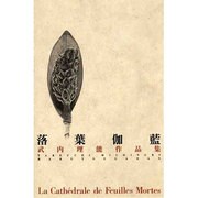落葉伽藍―武内理能作品集 [単行本]