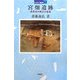 宮畑遺跡―南東北の縄文大集落(日本の遺跡〈17〉) [全集叢書]
