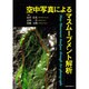 空中写真によるマスブ-ムメント解析 [単行本]